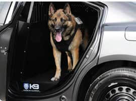 K9 Solutions